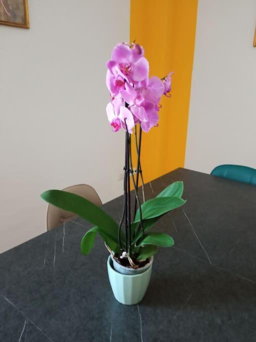 A Casa Di Gi Bed & Breakfast Porto Torres Ngoại thất bức ảnh
